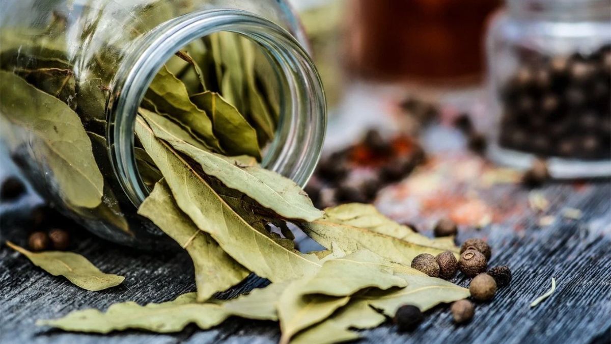 Ritual para Navidad dónde hay que poner una hoja de laurel para que