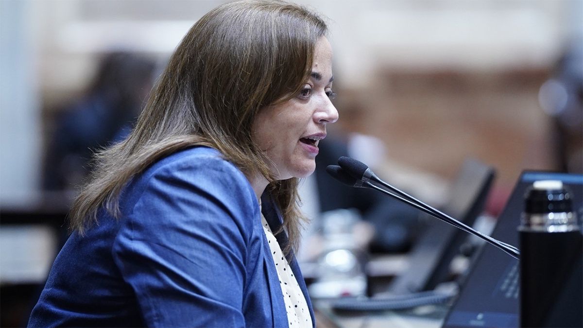 Cecilia Moreau Los senadores de Juntos por el Cambio no tienen empatía