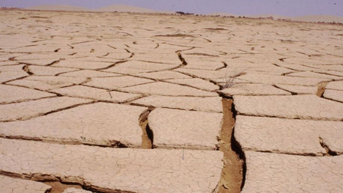 Según la ONU se pierden 23 hectáreas por minuto como consecuencia de