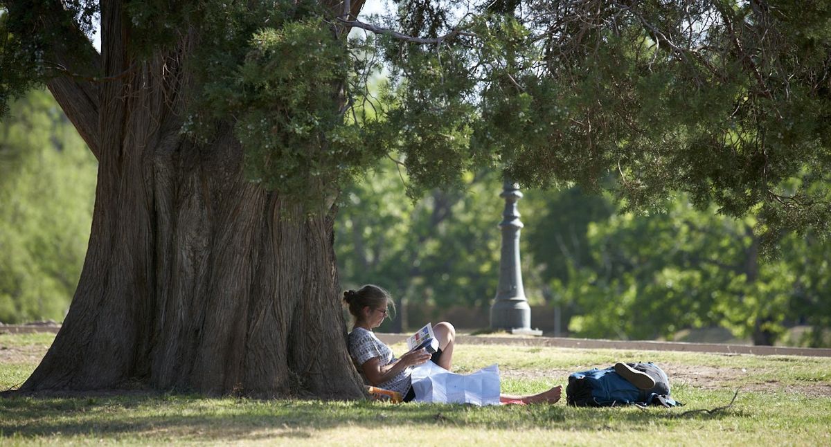 Pron Stico Del Tiempo En Mendoza Llega Un Fin De Semana A Pleno Sol