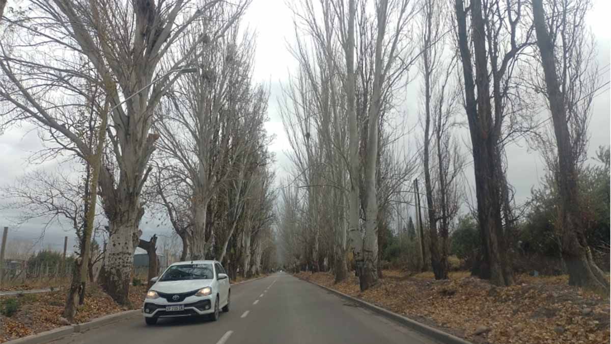 Pronóstico del tiempo en Mendoza sábado nublado y frío