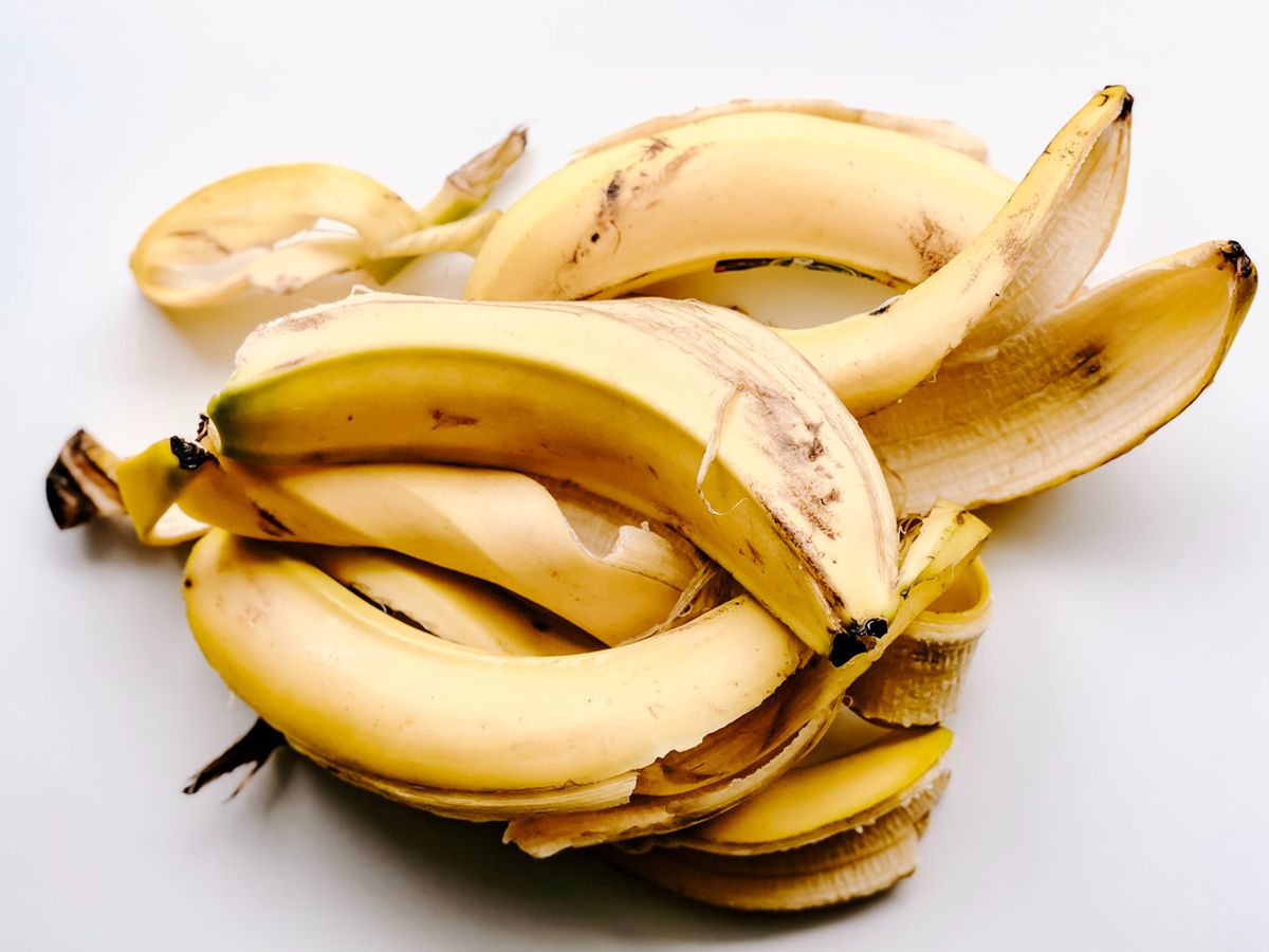 Plantas cómo hacer un potente fertilizante casero con cáscaras de banana