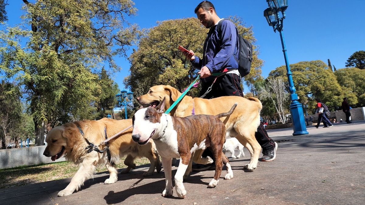 Pronóstico del tiempo en Mendoza sábado agradable y desde el lunes se