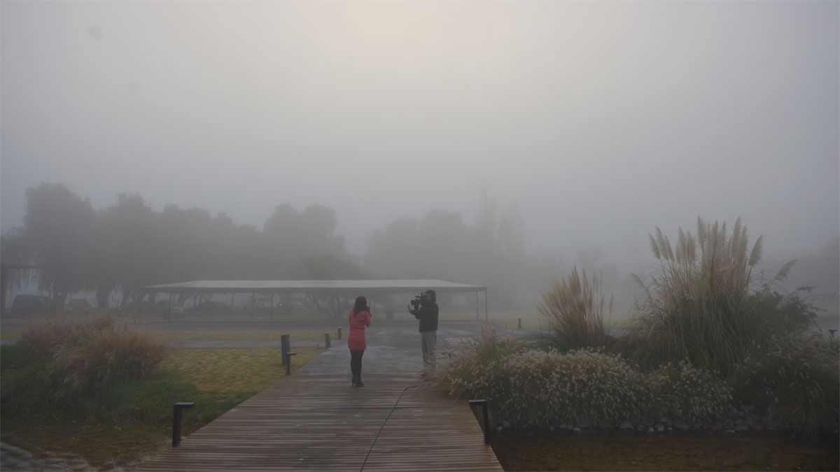 Respira profundo al saber cuál es la DIFERENCIA entre NIEBLA y NEBLINA