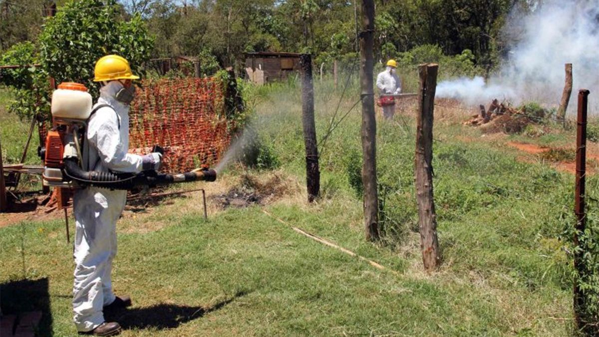 Confirmaron un caso autóctono de dengue en Mendoza y profundizan