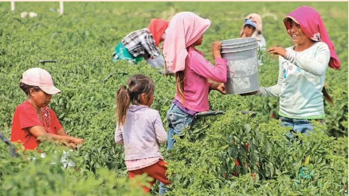 De Junio D A Mundial Contra El Trabajo Infantil