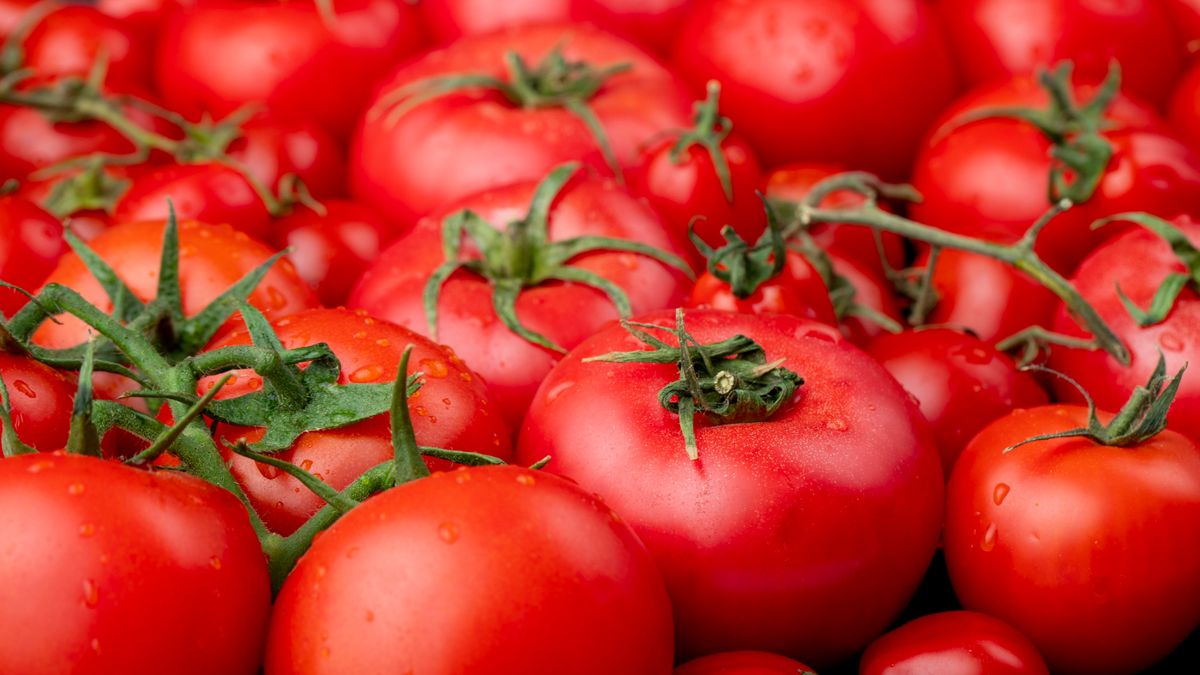 Receta Aprende A Realizar Unos Deliciosos Tomates Confitados