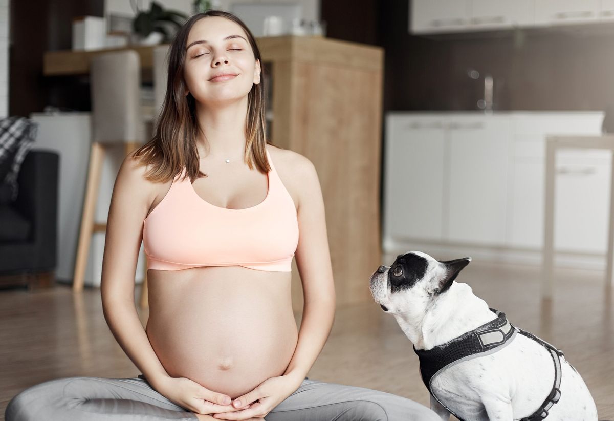 Respira hondo al saber cómo hacen los perros para detectar un embarazo