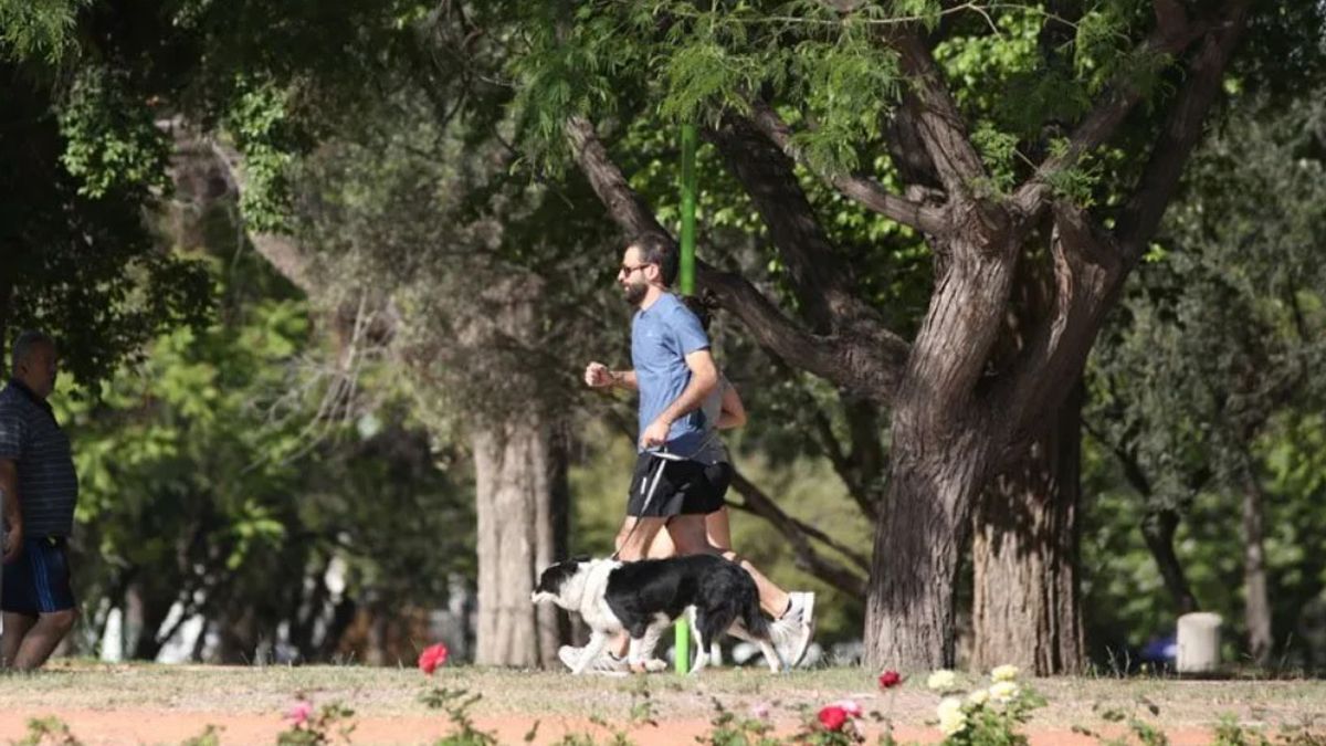 Pron Stico Del Tiempo En Mendoza Domingo Soleado Con Ascenso De La