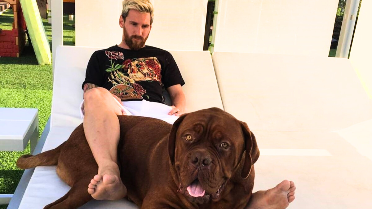 El Triste Destino De Hulk El Perro De Lionel Messi