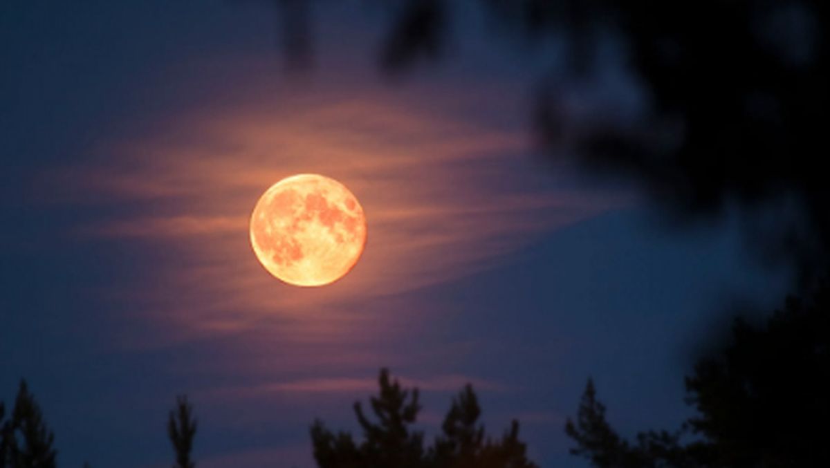 Luna Llena Del Cazador C Mo Aprovechar Su Energ A Y Atraer La Abundancia