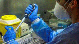Buenas noticias del coronavirus del martes 21 de julio