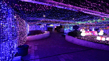Se volvió loco y unió 1 millón 200 mil luces navideñas