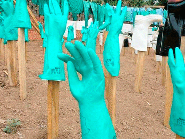 El contagio del ébola ocurre por contacto con sangre, secreciones o fluidos corporales de animales o personas infectadas. El contagio del ébola ocurre por contacto con sangre, secreciones o fluidos corporales de animales o personas infectadas.