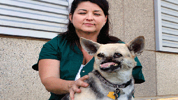 La perrita héroe regresa a Filipinas tras salvar a dos niñas y perder la mandíbula