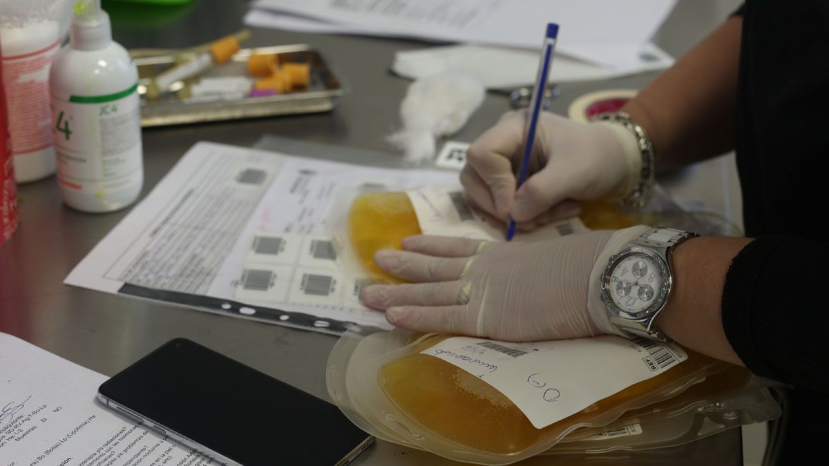 Mendoza 04/09/20 En Mendoza se realiza la donación de plasma para la recuperación de pacientes con Covid19. Por cada donación se puede tratar a 3 enfermos de coronavirus.