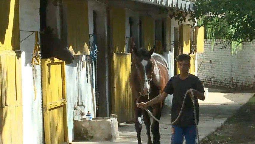 El trabajo del turf, con mano de obra específica y especializada, corre peligro por el prolongado parate obligado por la cuarentena por conoronavirus y que mantiene nuestro hipódromo cerrado.