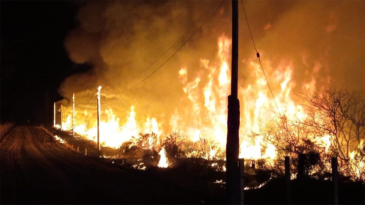 Impresionante incendio en campos de la zona Oeste de Alvear