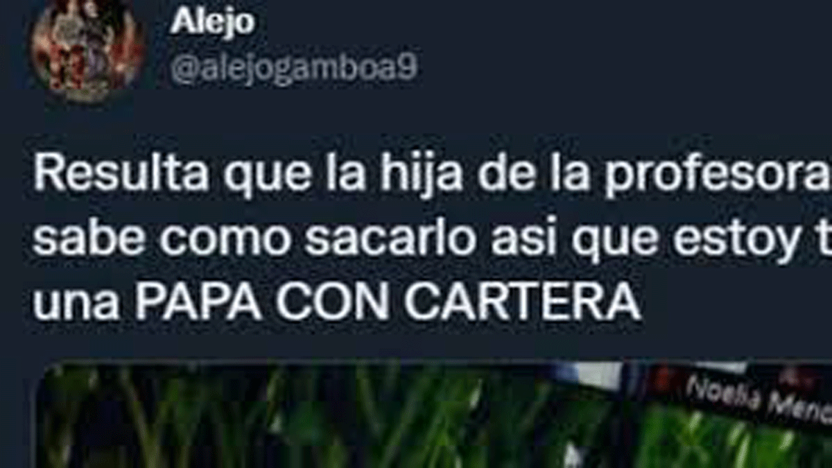 Error viral. Una docente no pudo cambiar su perfil en Zoom y su estado se viralizó.