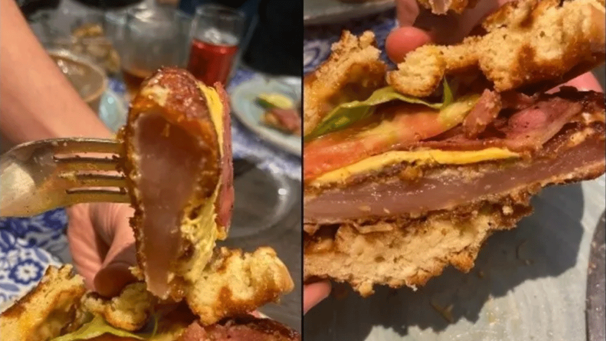 ¿Qué le mandaron? Pidió un sánguche de pollo pero le llegó algo repugnante.