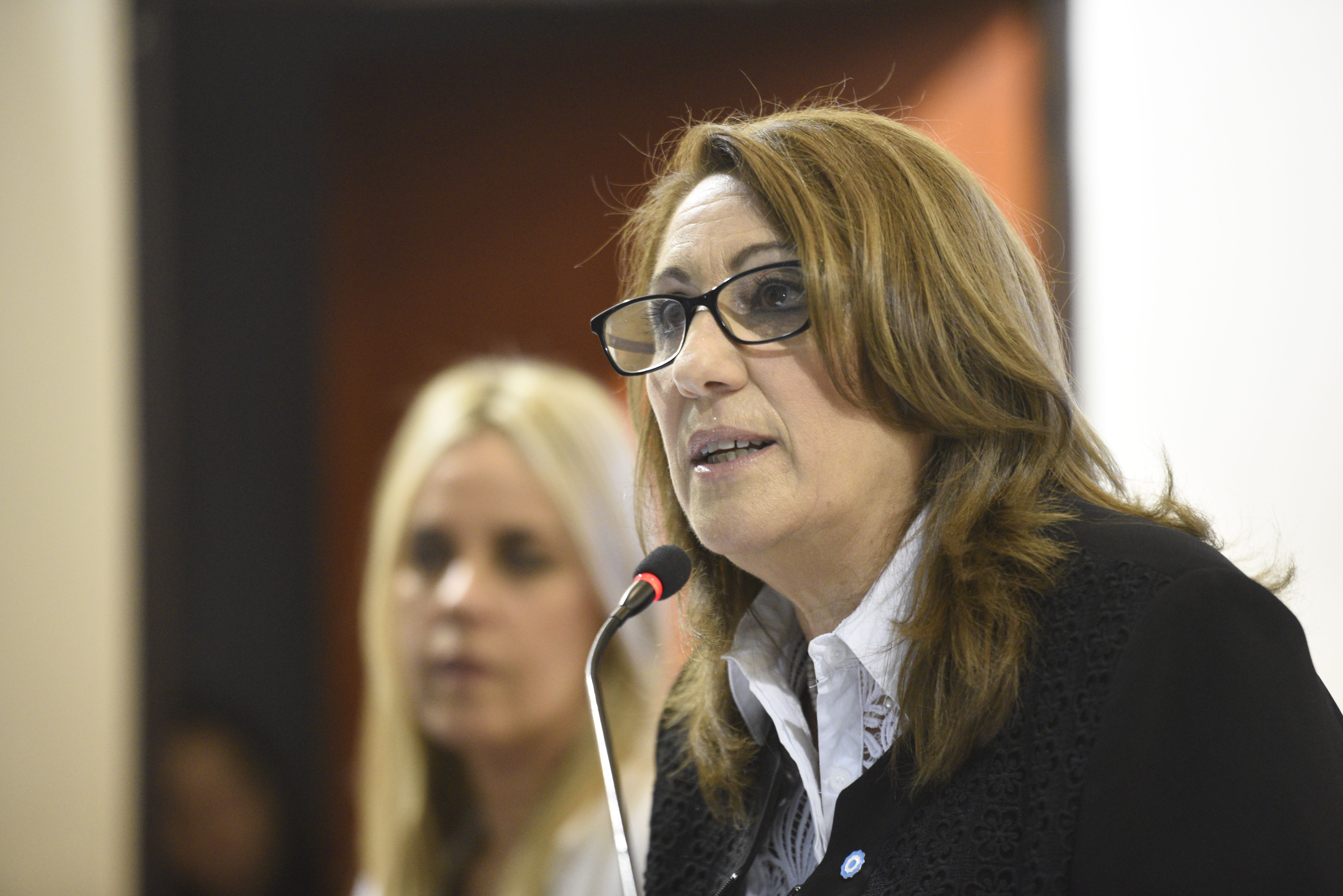 La intendenta Fein, en la apertura de sesiones del Concejo municipal hace unos días.&nbsp;