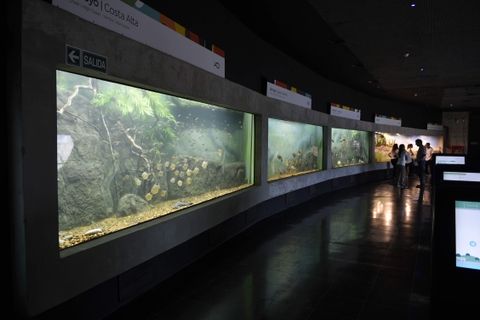 flamante. Toda la riqueza ictícola del Paraná podrá ser disfrutada por los rosarinos en el acuario más grande del país, que abrirá sus puertas esta tarde frente a la cancha de Central.