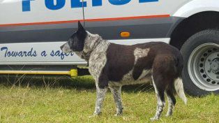 Maxi recibió honores policiales.&nbsp;
