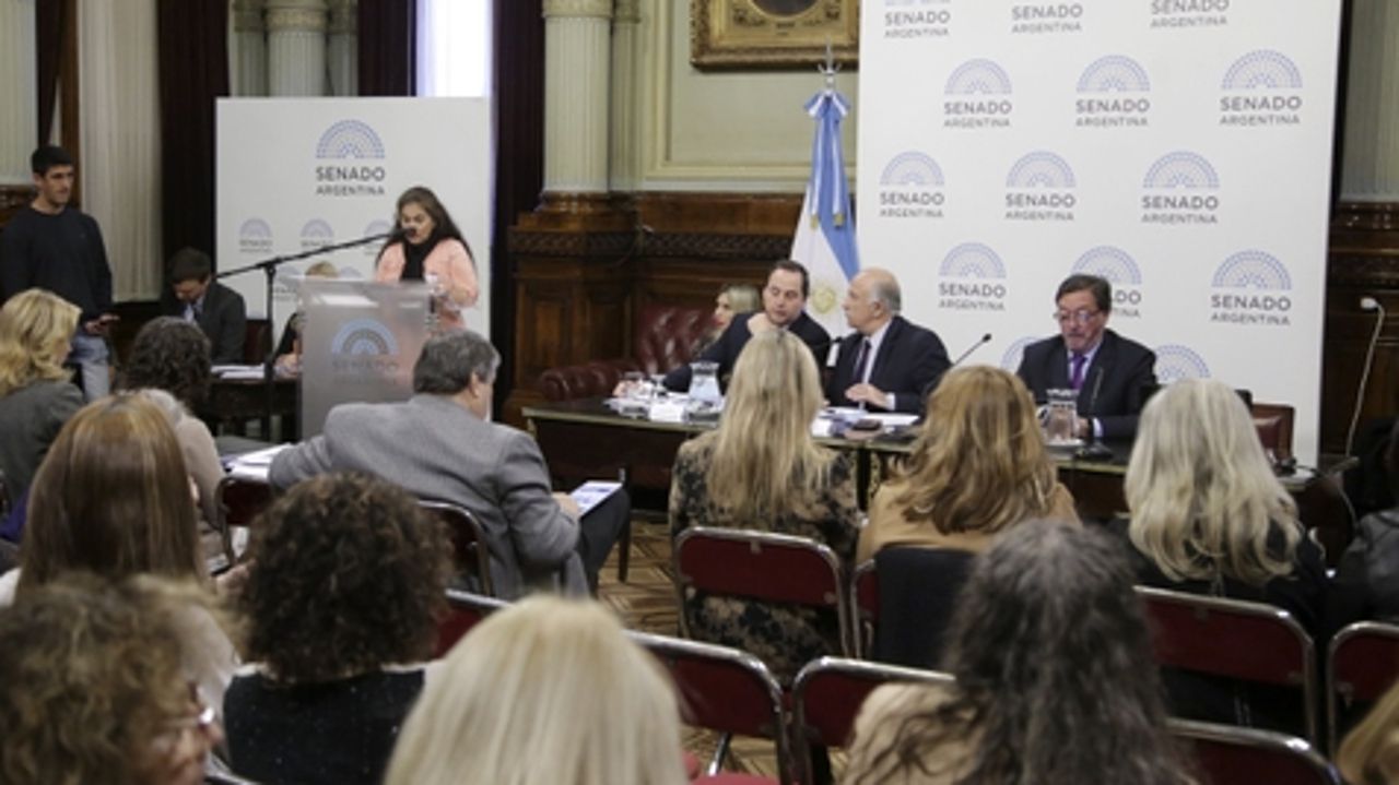 Plenario de comisiones. Verónica Camargo, fundadora de Ni Una Menos, fue una de las oradoras.