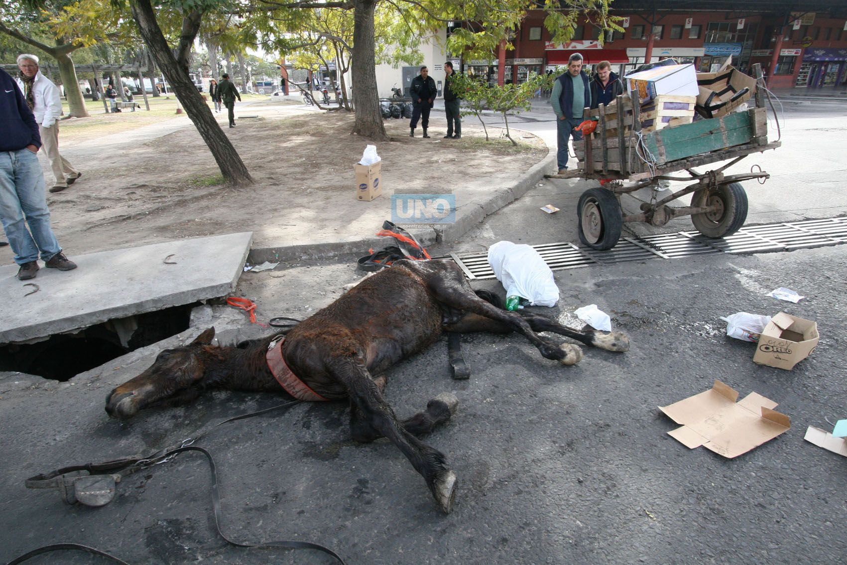 La movilización es para evitar que se repitan estas imágenes en Paraná. Foto UNO&nbsp;Juan Ignacio Pereira.&nbsp;