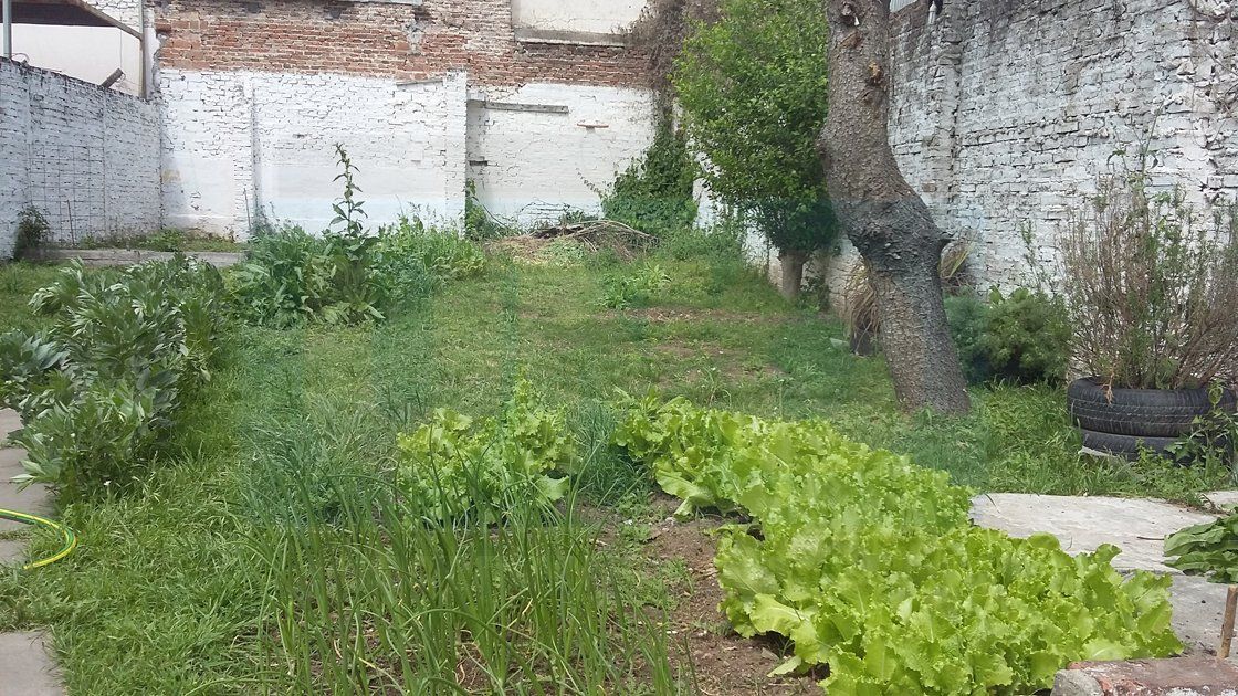 Foto UNO
