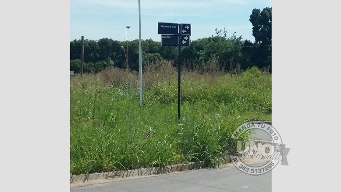 Barrio empleados de Comercio, zona sur. Pastos y mosquitos.