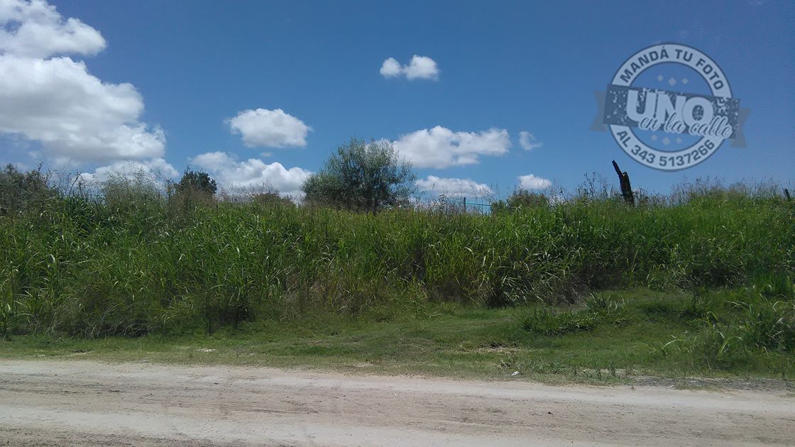 Bordón y Tibiletti, Zona sur, en total abandono