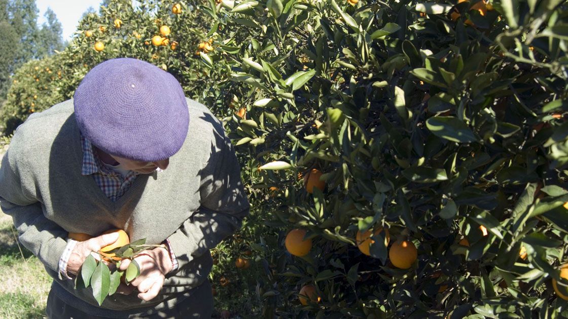 Mejoras. Optimizar recursos en las quintas será uno de los temas a debatir en Villa del Rosario.&nbsp;
