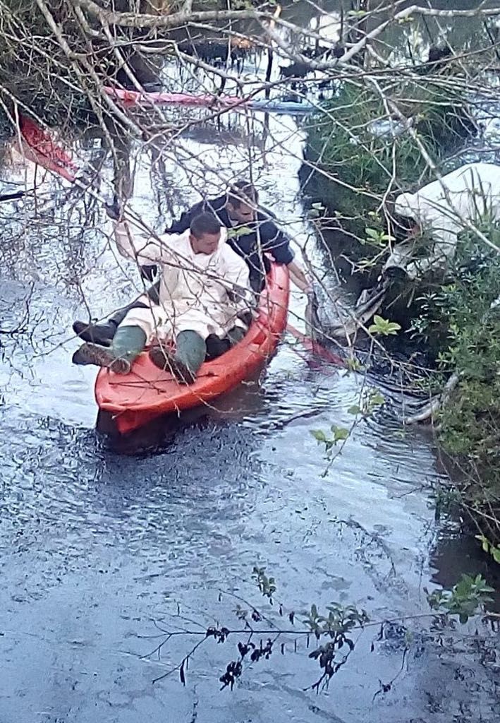 Foto Secretaría de Ambiente.&nbsp;