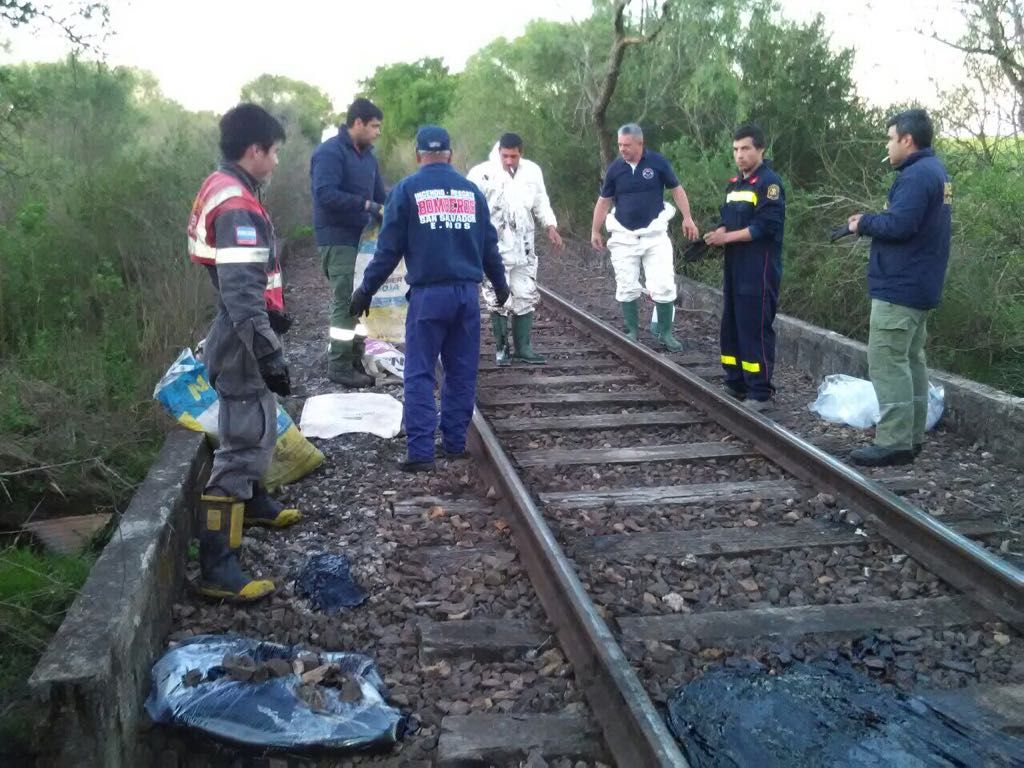 &nbsp;Foto Secretaría de Ambiente.&nbsp;