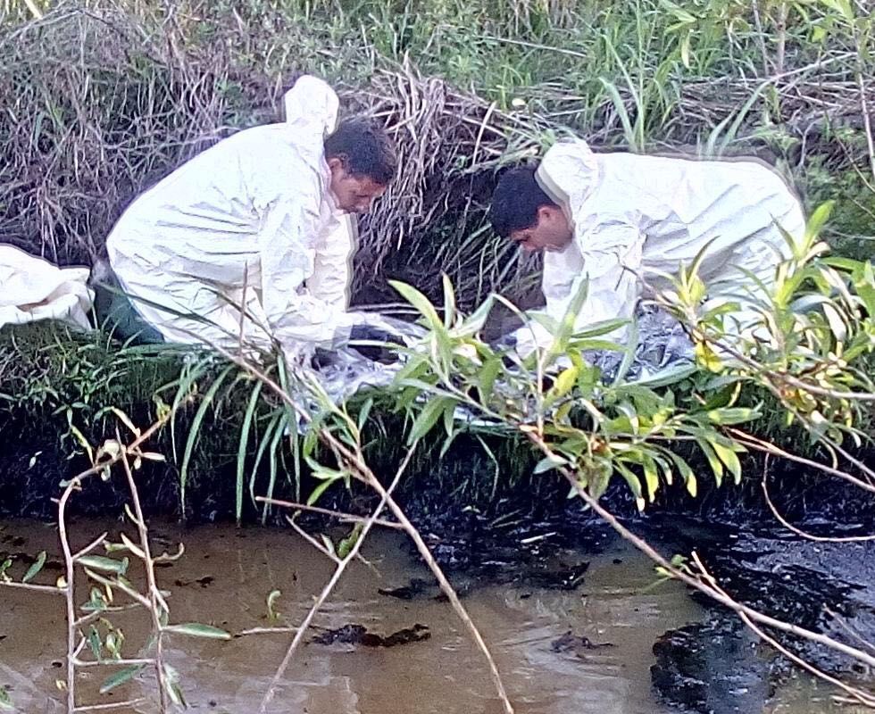 Especialistas trabajando en el arroyo contaminado. Foto Secretaría de Ambiente.&nbsp;