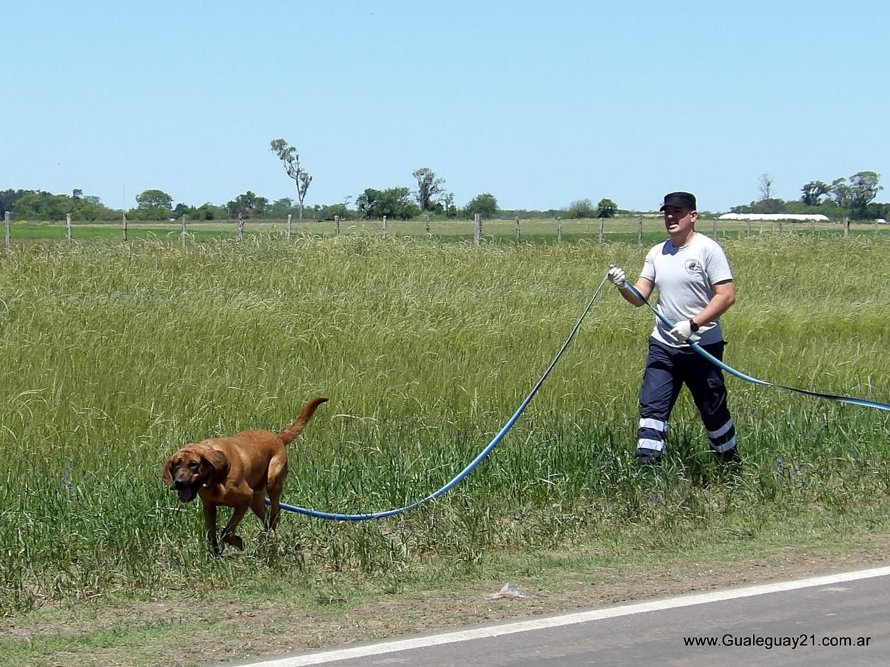 Foto gentileza Gualeguay 21.&nbsp;