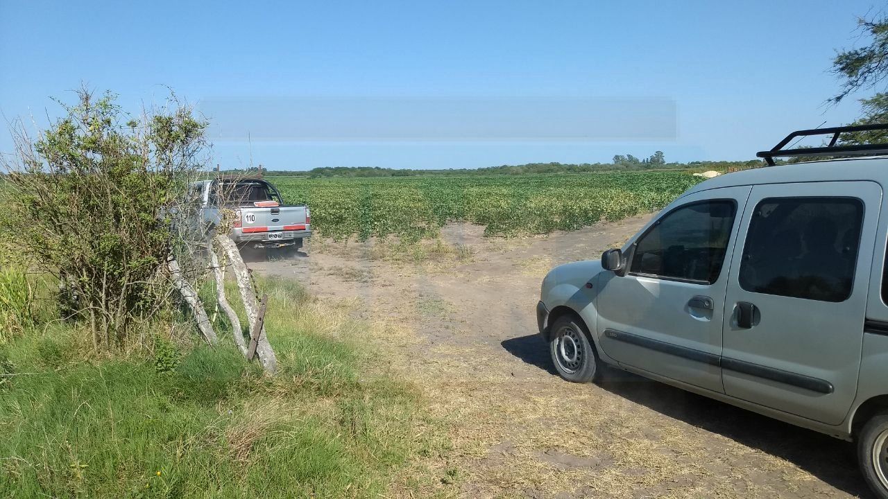 Este lunes comenzaron las excavaciones que se extenderán por una semana.&nbsp;