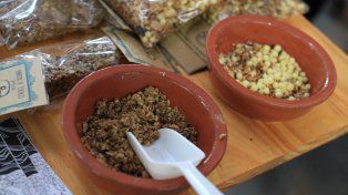 Nueces para probar. Foto UNO Juan Ignacio Pereira.&nbsp;