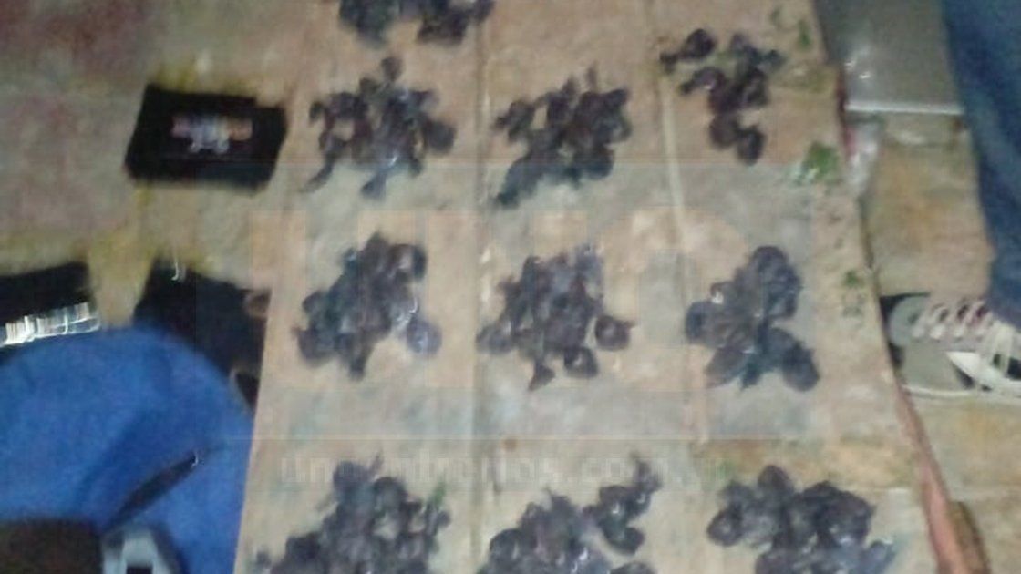 Foto PER