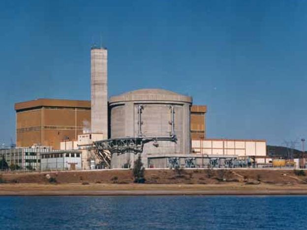 La planta nuclear cerca de la cual fue hallado el animalito.