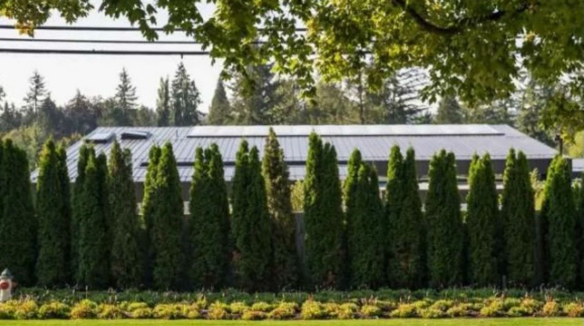 La imponente mansión estilo minimalista de Lopilato y Bublé