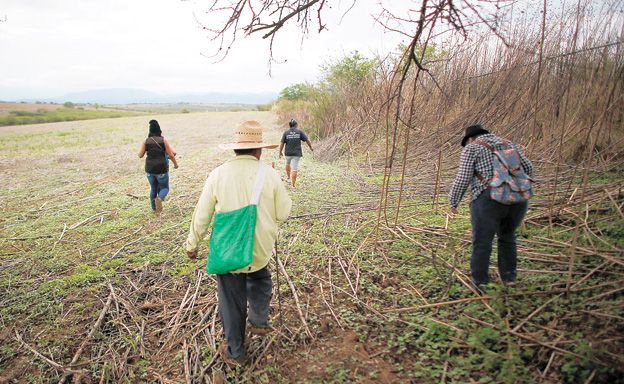 La búsqueda de los familiares es incesante. Muchos campos sirvieron de tumbas clandestinas.