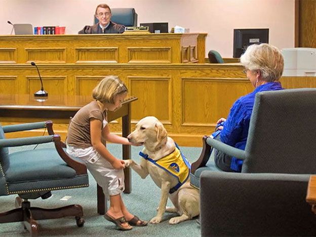 “Estos perros deberían estar disponibles para cualquier testigo vulnerable que tenga dificultades para hablar de lo que ha pasado”
