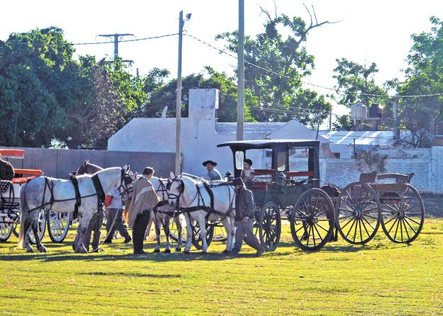 En acción. Los coches y sus caballos tienen una agenda de actividades durante todo el año. La asociación local cuenta con 30 carruajes diferentes y 20 socios activos que buscan seguir la tradición. En acción. Los coches y sus caballos tienen una agenda de actividades durante todo el año. La asociación local cuenta con 30 carruajes diferentes y 20 socios activos que buscan seguir la tradición.