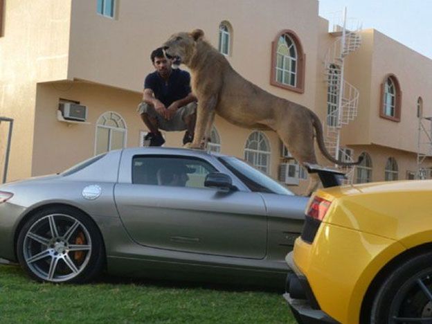 Una de las fotos de Humaid Albuqaish, en Instagram.