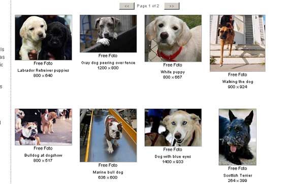 La sección Perros de Geek Philosopher