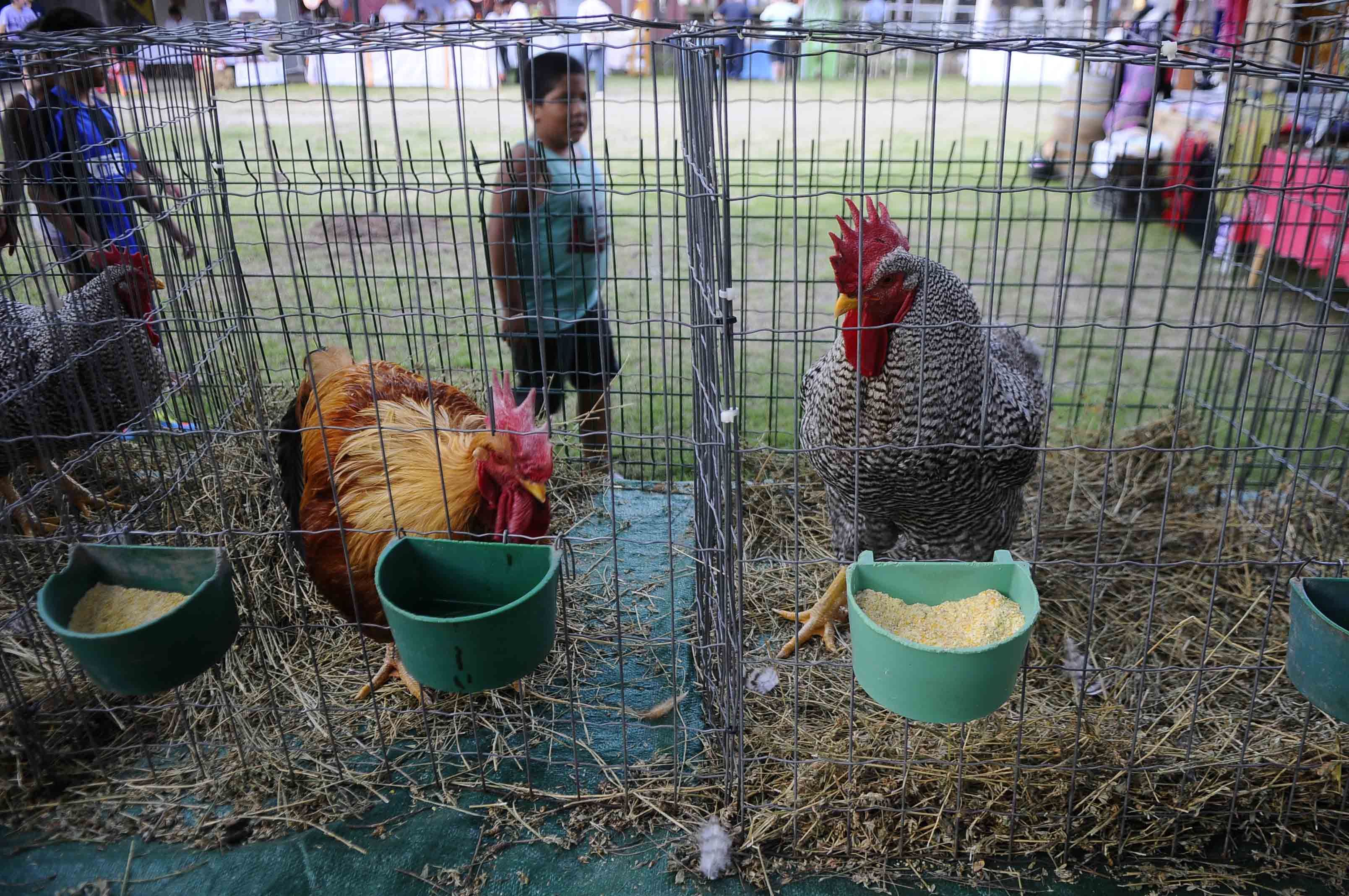 Foto: Horacio Altamirano / Diario UNO