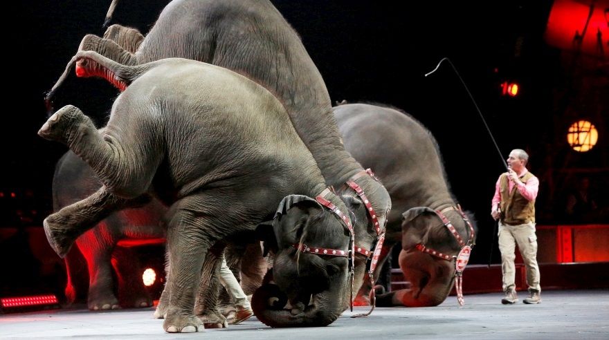 Foto: Reuters