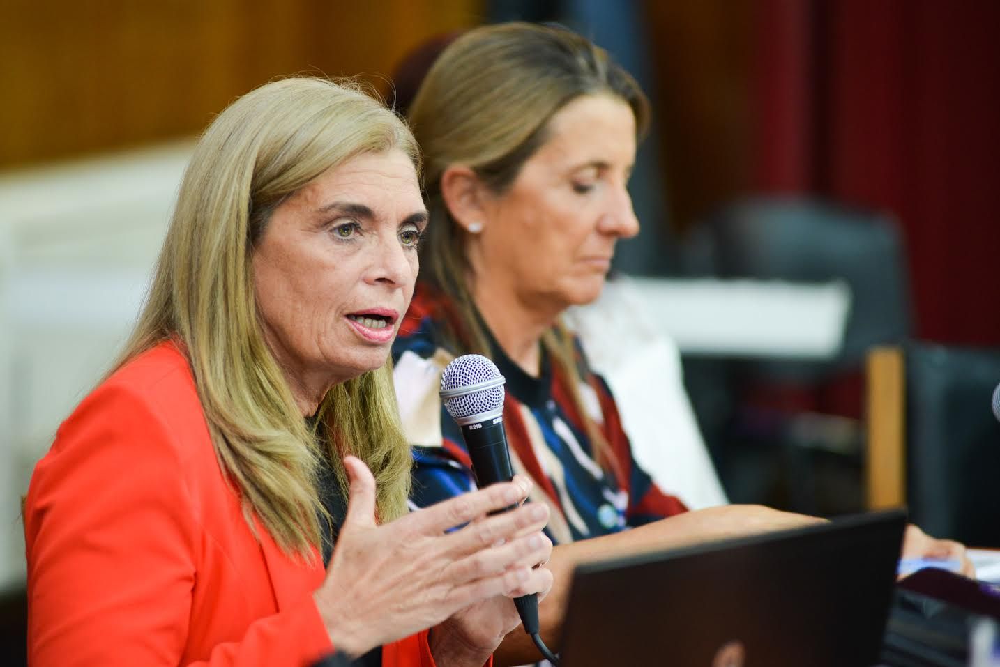 La vicegobernador Laura Montero y la ministra de Salud, Laura Najul